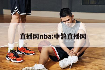 直播网nba:中鸽直播网